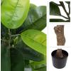 imagePure Garden Artificial Olive Tree  6Foot Potted Faux Plant with Fruit for Home or Office Decoration  Natural Looking Polyester LeavesGreen