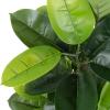 imagePure Garden Artificial Olive Tree  6Foot Potted Faux Plant with Fruit for Home or Office Decoration  Natural Looking Polyester LeavesGreen
