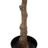 imagePure Garden Artificial Olive Tree  6Foot Potted Faux Plant with Fruit for Home or Office Decoration  Natural Looking Polyester LeavesGreen