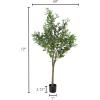 imagePure Garden Artificial Olive Tree  6Foot Potted Faux Plant with Fruit for Home or Office Decoration  Natural Looking Polyester LeavesGreen
