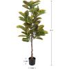 imagePure Garden Artificial Olive Tree  6Foot Potted Faux Plant with Fruit for Home or Office Decoration  Natural Looking Polyester LeavesVariegated Green