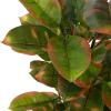 imagePure Garden Artificial Olive Tree  6Foot Potted Faux Plant with Fruit for Home or Office Decoration  Natural Looking Polyester LeavesVariegated Green