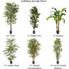 imagePure Garden Ficus Artificial Tree80Inch Potted Faux Silk Tree with Natural Looking Leaves for Office or Home DecorRealistic Indoor Plants 80quot Green