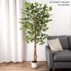 imagePure Garden Ficus Artificial Tree80Inch Potted Faux Silk Tree with Natural Looking Leaves for Office or Home DecorRealistic Indoor Plants 80quot Green