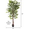 imagePure Garden Ficus Artificial Tree80Inch Potted Faux Silk Tree with Natural Looking Leaves for Office or Home DecorRealistic Indoor Plants 80quot Green