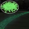 imagePure Garden GlowinTheDark Solar Pebble Lights 200 Ct Yellow Decorative Rocks for Flower Beds Walkways and PatiosGreen