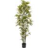 imageArtificial Bamboo Tree  6FT Fake Plant with Adjustable Leaves and Pot  Faux Plants Indoor for Home Restaurant or Office Dcor by Pure GardenGreen Trunk
