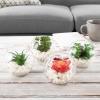 imageFaux Succulents  Assorted Lifelike Plastic Greenery Arrangements Decorative Ceramic Pots for Indoor Home or Office Dcor by Pure Garden Set of 4Clear Bowls