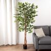 imagePure Garden Ficus Artificial Tree80Inch Potted Faux Silk Tree with Natural Looking Leaves for Office or Home DecorRealistic Indoor Plants 80quot Green