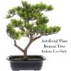 imageFaux Pine Bonsai Tree  145inch Artificial Topiary for Desk Tables or Shelves  Realistic Plastic Greenery and Ceramic Planter by Pure Garden