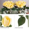 imageRose Artificial Flowers  24Pc Real Touch 115Inch Fake Flower Set with Stems for Home Decor Wedding or BridalBaby Showers by Pure Garden YellowYellow