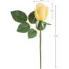imageRose Artificial Flowers  24Pc Real Touch 115Inch Fake Flower Set with Stems for Home Decor Wedding or BridalBaby Showers by Pure Garden YellowYellow