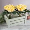 imageRose Artificial Flowers  24Pc Real Touch 115Inch Fake Flower Set with Stems for Home Decor Wedding or BridalBaby Showers by Pure Garden YellowYellow