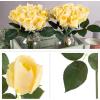 imageRose Artificial Flowers  24Pc Real Touch 115Inch Fake Flower Set with Stems for Home Decor Wedding or BridalBaby Showers by Pure Garden YellowYellow