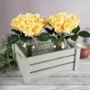 imageRose Artificial Flowers  24Pc Real Touch 115Inch Fake Flower Set with Stems for Home Decor Wedding or BridalBaby Showers by Pure Garden YellowYellow